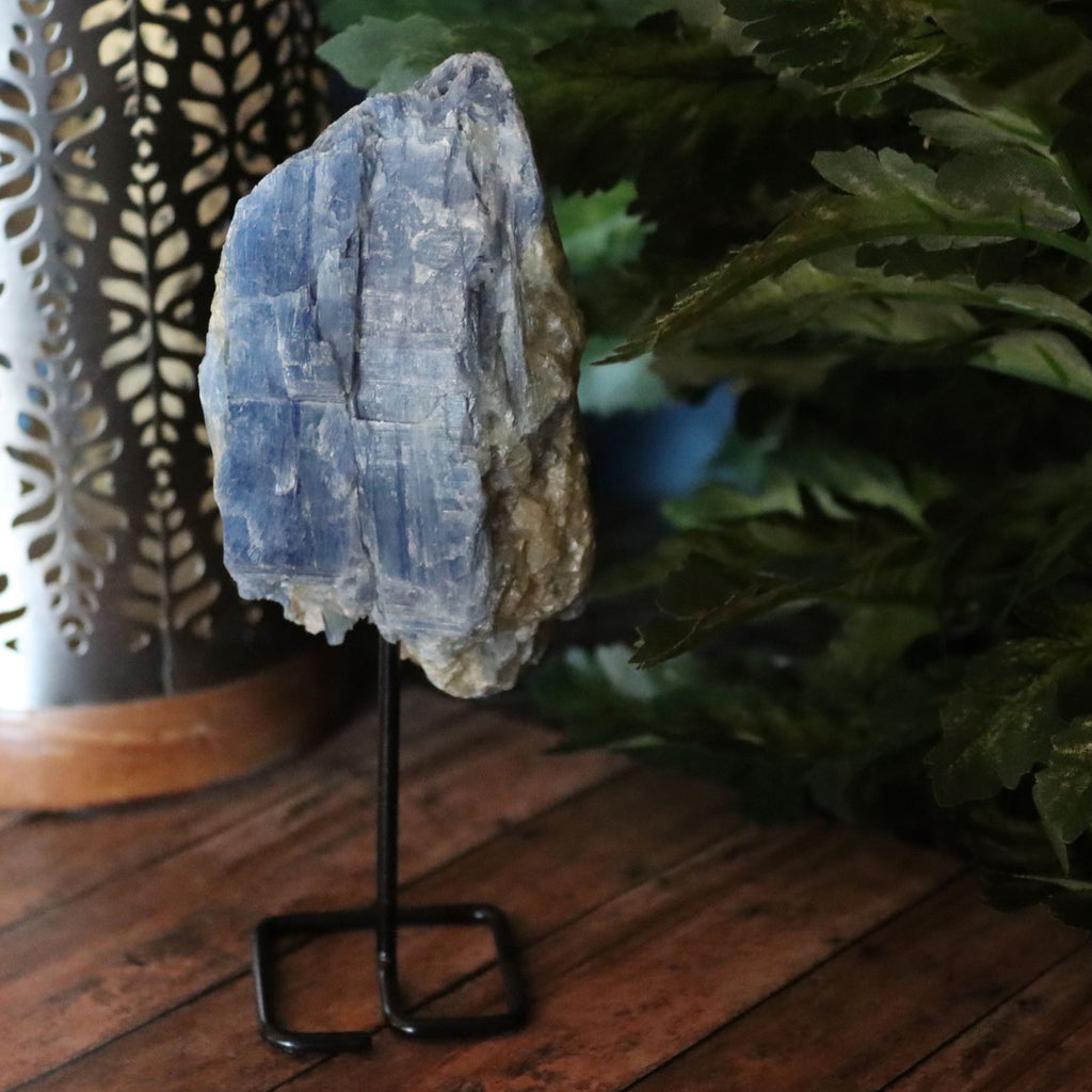 Blue Kyanite on Stand